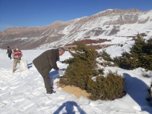 SİİRT (AA) – Siirt'in Eruh ilçesinde ekipler, olumsuz hava koşulları