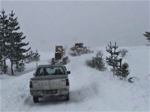 SİNOP (AA) – Sinop'ta etkili olan kar yağışı yaşamı olumsuz