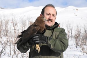 ŞIRNAK (AA) – Şırnak'ta yaralı bulunan ve tedavisi tamamlanan bayağı