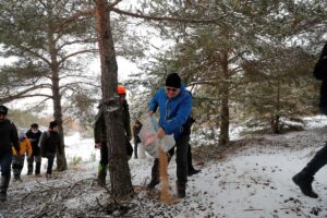 SİVAS (AA) – Sivas'ta yaban hayvanları için araziye yem bırakıldı.