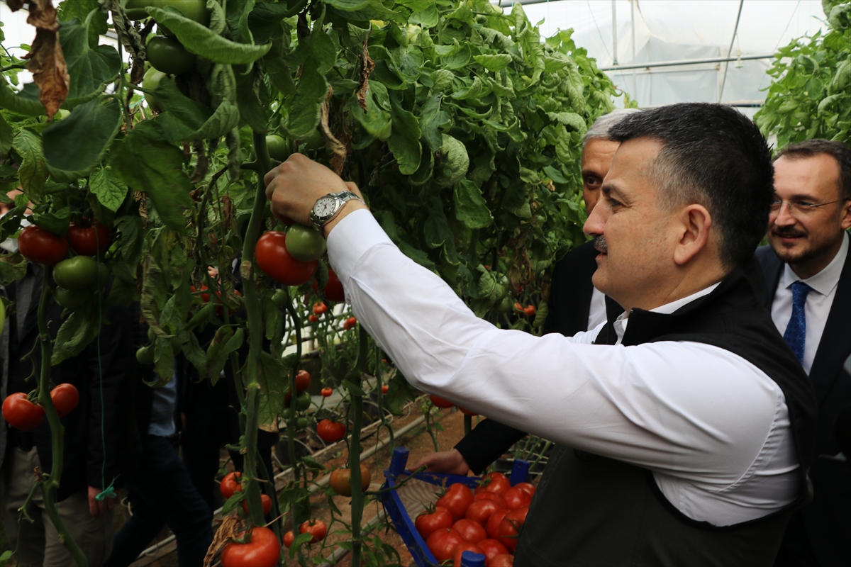 Tarım ve Orman Bakanı Pakdemirli, Kütahya'da konuştu: