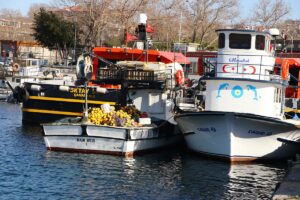 TEKİRDAĞ (AA) – Tekirdağ'da küçük tekne balıkçıları, av yasağının sona