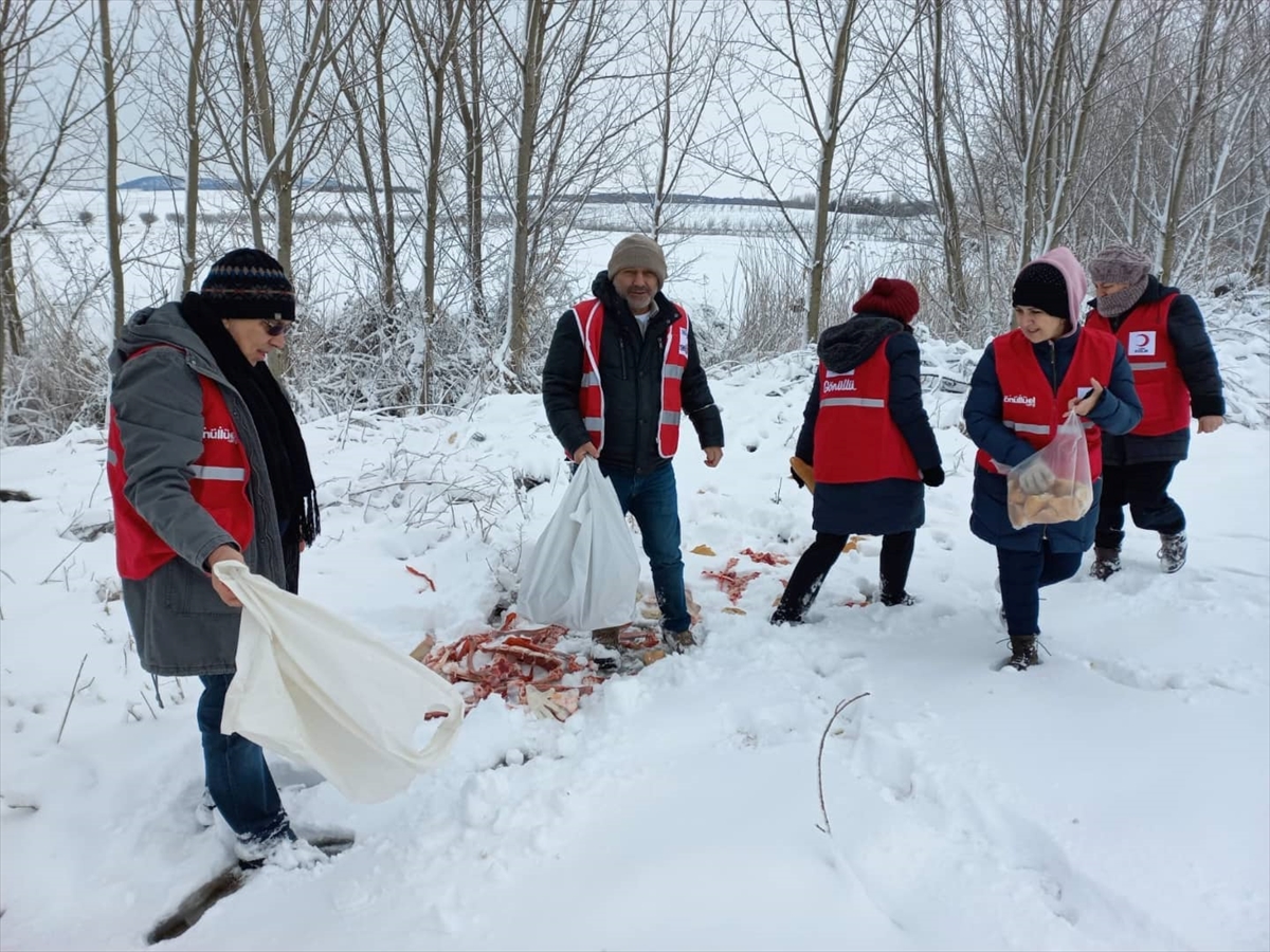 Tekirdağ'da karda yiyecek bulmakta zorlanan hayvanlar unutulmadı