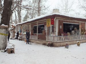TOKAT (AA) – Tokat'ın Turhal ilçesinde başından tabancayla vurulan kişi