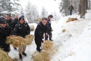 TOKAT (AA) – Tokat'ta yoğun kar yağışı nedeniyle yiyecek bulmakta