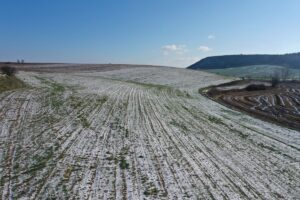 EDİRNE (AA) – Edirne Tarım ve Orman Müdürü Atilla Bayazıt,