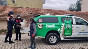 UŞAK (AA) – Uşak'ın Ulubey ilçesinde jandarma ekiplerince yaralı halde