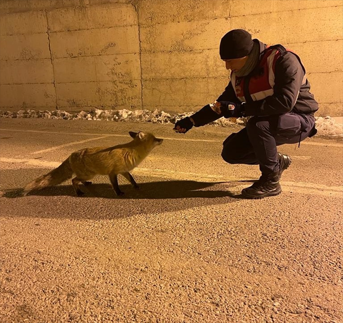 VAN (AA) – Van'ın Başkale ilçesinde aç kalan ve yerleşim