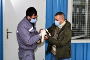 BURSA (AA) – Bursa'da, Yıldırım Belediyesi tarafından, 2021 yılında 8