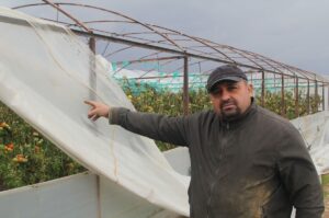 - Hortumun seraların naylonlarını uçurmasını cep telefonu kamerasına yansıdı