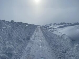 ARDAHAN (AA) – Ardahan'da etkili olan yoğun kar ve tipi