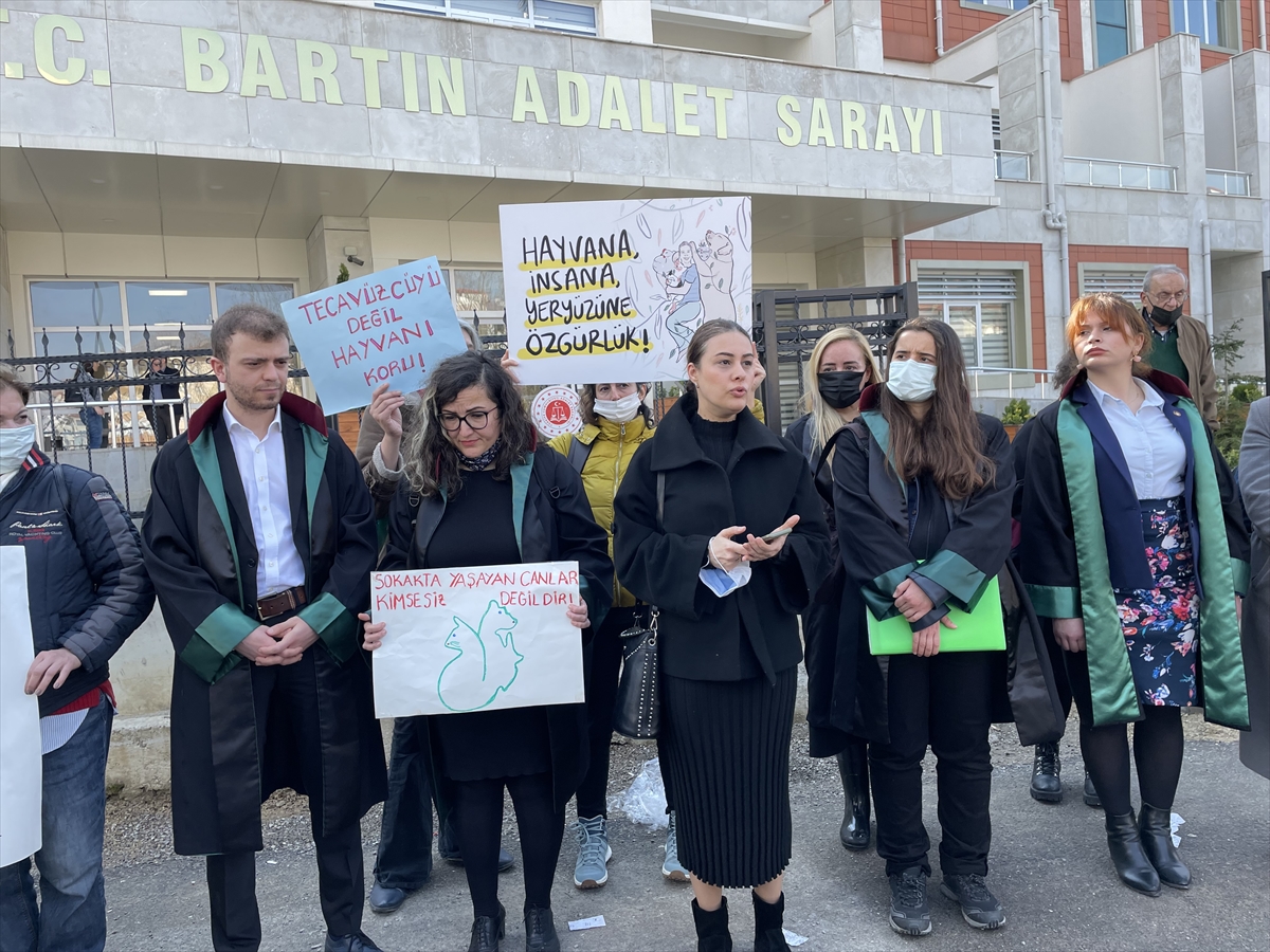 Bartın'da köpeğe cinsel istismarla suçlanan sanığın yargılanması sürüyor