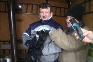 KONYA (AA) – Konya’nın Beyşehir ilçesinde, adada mahsur kalan küçükbaş