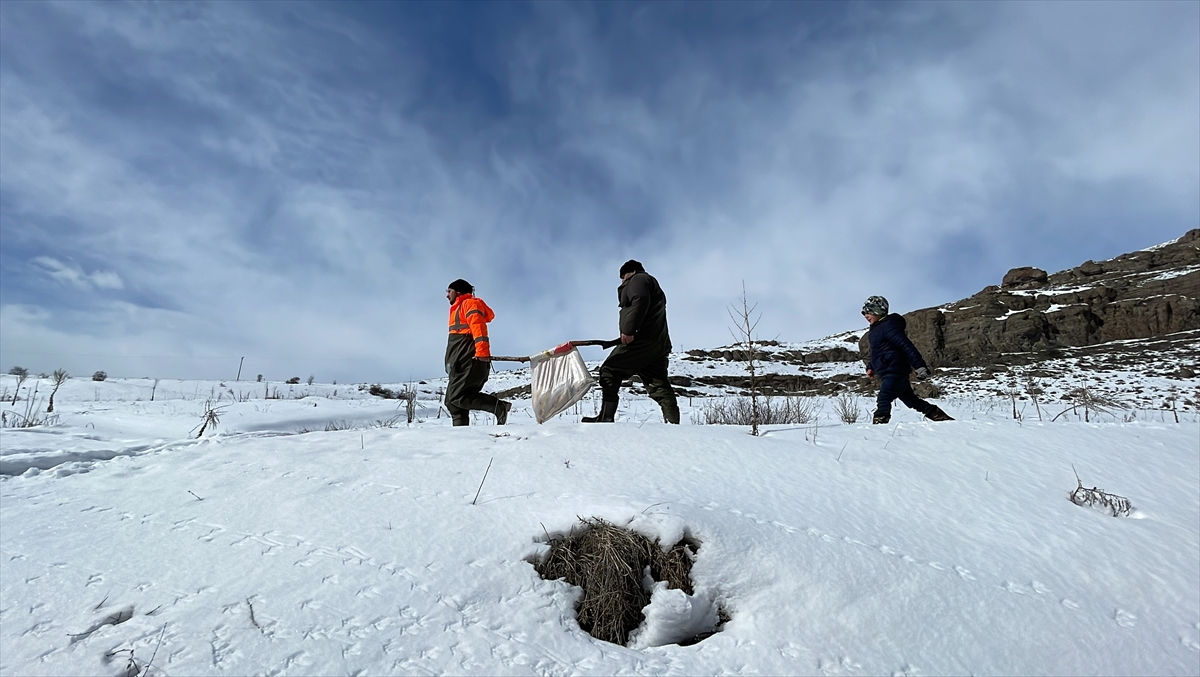 Çoruh Nehri'nin buzlu sularında köylüler geleneksel yöntemle balık avlıyor