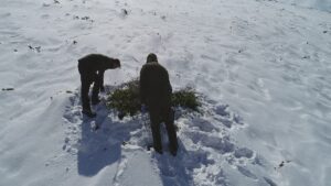 ERZURUM (AA) – İLHAMİ ERKILIÇ – Yurtta kış mevsiminin çetin