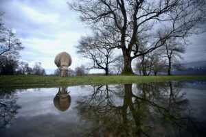 DÜZCE (AA) – Düzce'de Efteni Gölü Ulusal Öneme Haiz Sulak