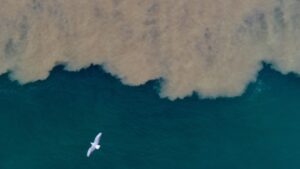 DÜZCE (AA) – Düzce'nin Akçakoca ilçesinde sağanağın ardından derelerin taşıdığı