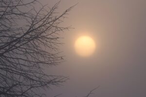 - Selimiye Camisi ile tarihi Tunca ve Meriç köprüleri sis