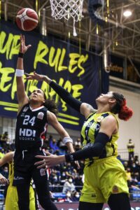 - Fenerbahçe Safiport: 91 - Beşiktaş HDI Sigorta: 66