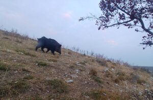 - İzmir Kuş Cenneti'ni de kapsayan deltanın UNESCO Doğa Dünya