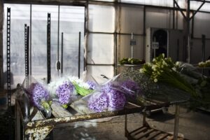 İSTANBUL (AA) – Sevgililer Günü için müşterilerine geniş bir yelpazede