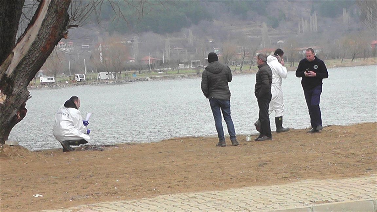 İzmir'de gölde kadın cesedi bulundu