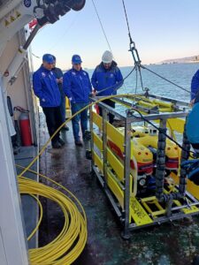 KOCAELİ (AA) – İzmit Körfezi’nin hayalet ağlardan temizlenmesi amacıyla 6