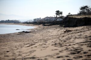 SAKARYA (AA) – Karasu Belediye Başkanı İshak Sarı, sahilde görülen