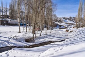 ERZURUM (AA) – Erzurum, Ardahan, Ağrı'da etkili olan soğuk hava,