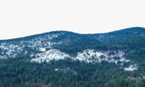 BALIKESİR (AA) – Balıkesir'in Edremit ilçesi Kazdağı Milli Parkı'nda yoğun