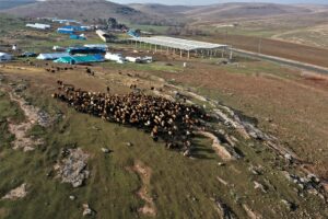 ŞANLIURFA (AA) – YASİN DİKME – Doğu ve Güneydoğu Anadolu