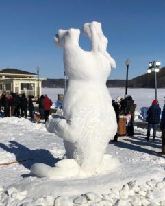 KOCAELİ (AA) – Kocaeli Üniversitesi (KOÜ) akademisyenlerinden oluşan takım, ABD'de