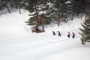 KARS (AA) – Kars'ın Sarıkamış ilçesinde doğa koruma görevlileri ve