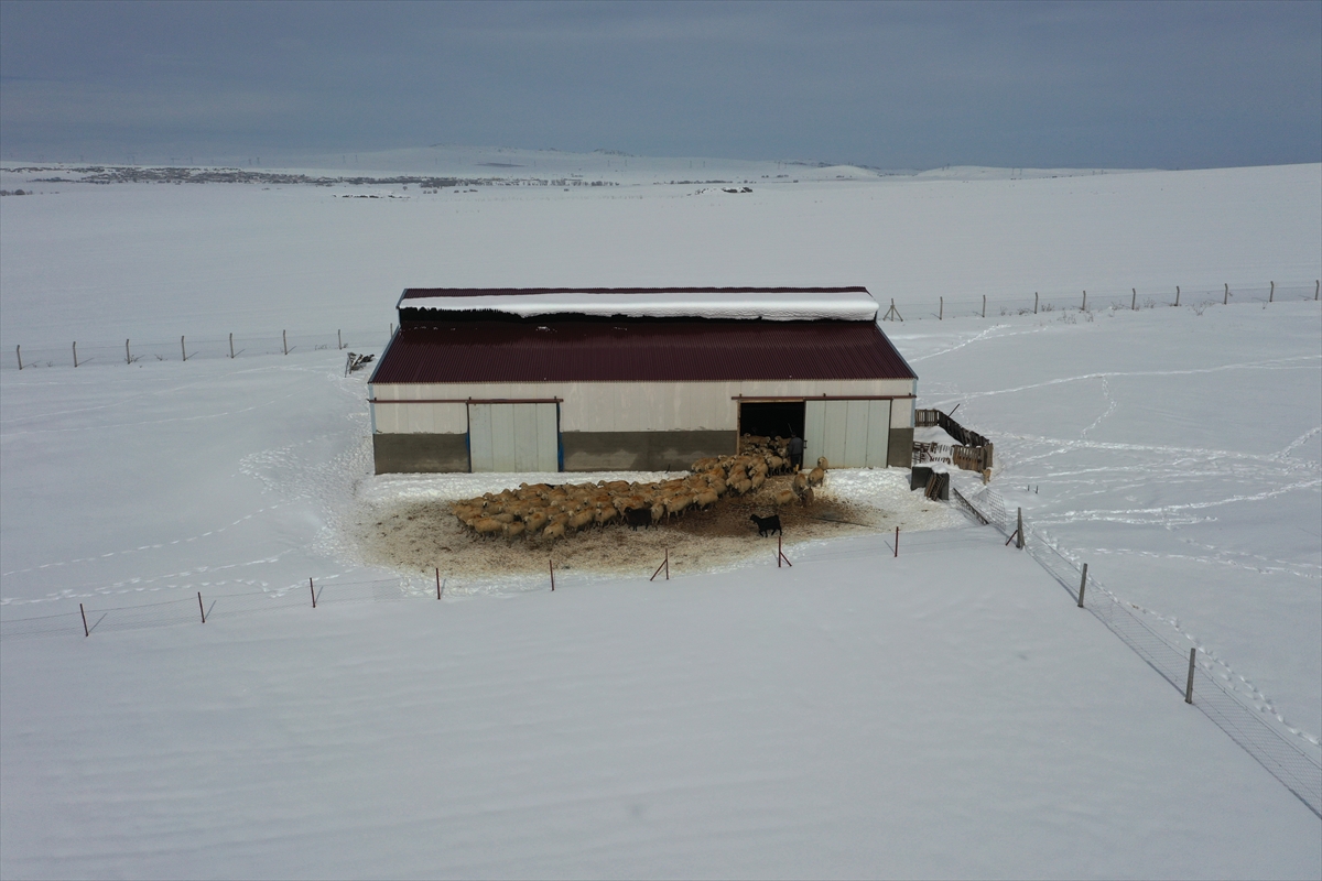Nevşehir'de kar nedeniyle mahsur kalan çoban ve sürüsü kurtarıldı