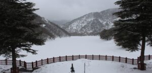 - Tabiat parkı çalışanlarca gölün yüzeyinde 4 metrekarelik alan motorlu