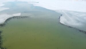 KONYA (AA) – Beyşehir Gölü'nün bir süre yüzeyinin donarak buz