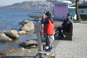 SAKARYA (AA) – Sakarya'da kış gününde güneşli havayı fırsat bilenler