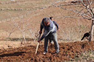 SİİRT (AA) – Siirt'te geçmiş yıllarda kırsaldan çeşitli nedenlerle kent