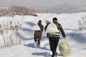 SİİRT (AA) – Siirt'in Tillo ilçesinde olumsuz hava koşulları nedeniyle