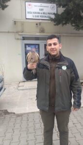 SİİRT (AA) – Siirt'in Eruh ilçesinde yaralı bulunan sülün, tedavisinin