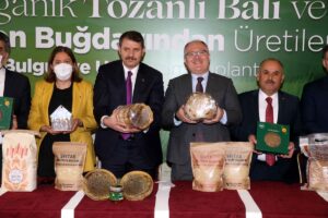 SİVAS (AA) – Sivas'ta ata tohumu Zeron buğdayından elde edilen