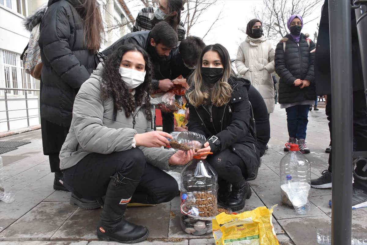 Sivas'ta öğrenciler atık malzemeden yaptıkları kaplarla sokak hayvanlarını besledi