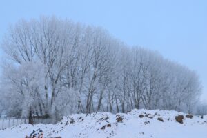 SİVAS (AA) – Sivas'ta kar ve tipi nedeniyle 75 köy