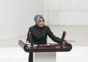 TBMM (AA) – TBMM Genel Kurulu, Meclis Başkanvekili Nimetullah Erdoğmuş