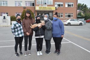 SAKARYA (AA) – Sakarya'da yaralı halde buldukları kediyi tedavi ettirip