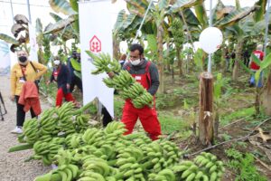 - "19 toplum merkezimizde şu ana kadar yürütmüş olduğumuz çok