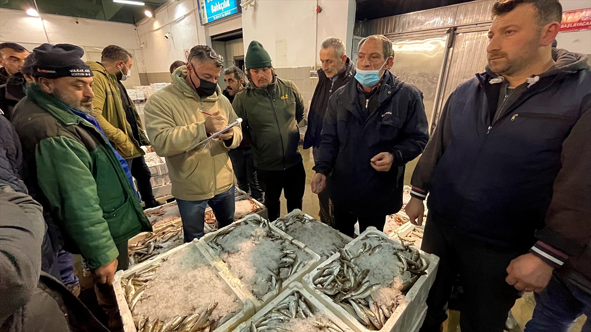 Türkiye'nin farklı illerinden balıkçılar Samsun'daki mezatta buluşuyor