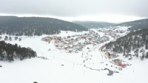 SİVAS (AA) – SERHAT ZAFER – Sivas'ın Koyulhisar ilçesinde yemyeşil