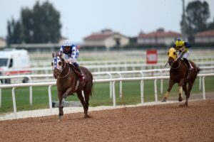 ADANA (AA) – Türkiye Jokey Kulübünce (TJK) Adana'da düzenlenen Özgecan