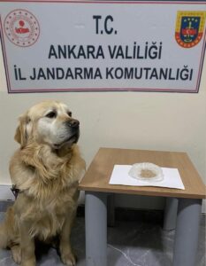 ANKARA (AA) – Ankara'da düzenlenen uyuşturucu operasyonlarında 5 zanlı gözaltına